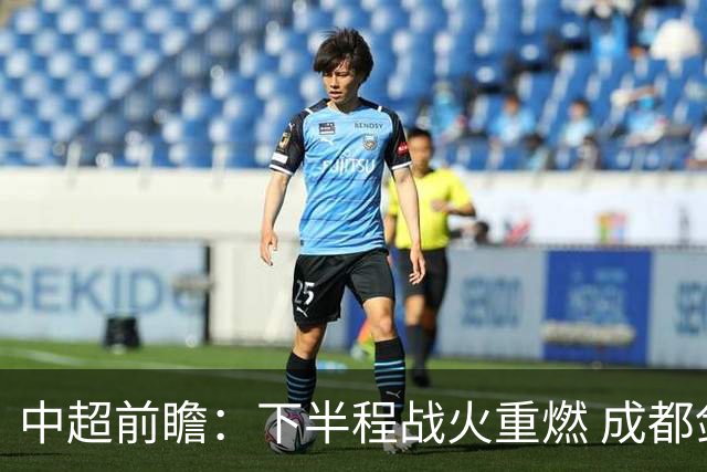 中超前瞻：下半程战火重燃 成都剑指三分申花求反弹