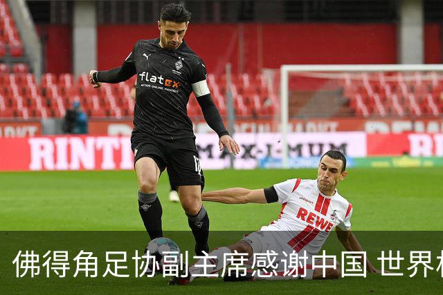 佛得角足协副主席感谢中国 世界杯后将安排与国足友谊赛